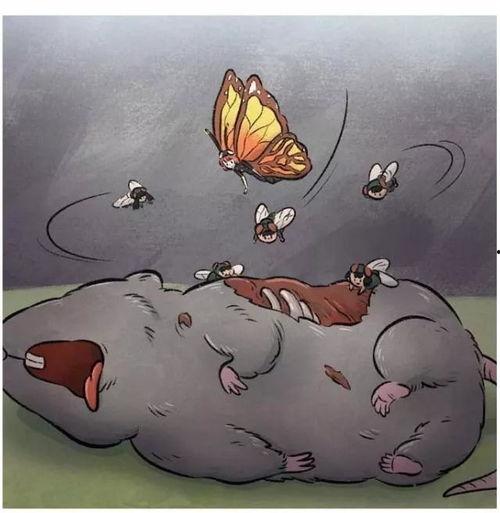 苍蝇漫画,揭示生活百态的幽默画卷